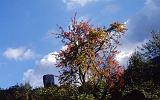 228-Cervinara,15 ottobre 1989